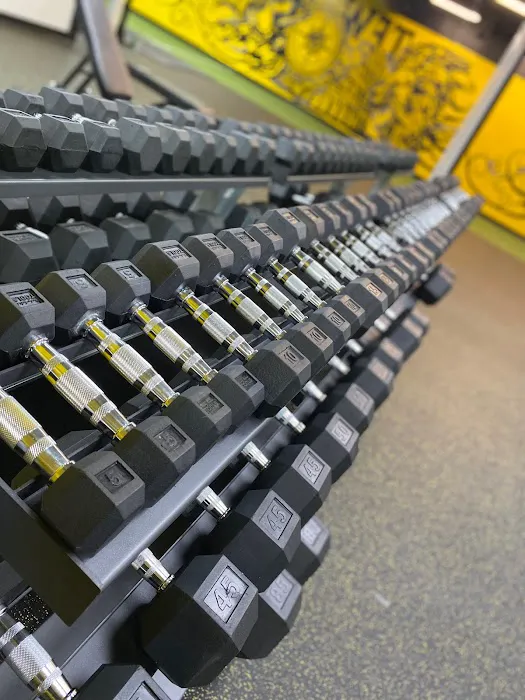 LIONS PRIDE COACHING Picture 9