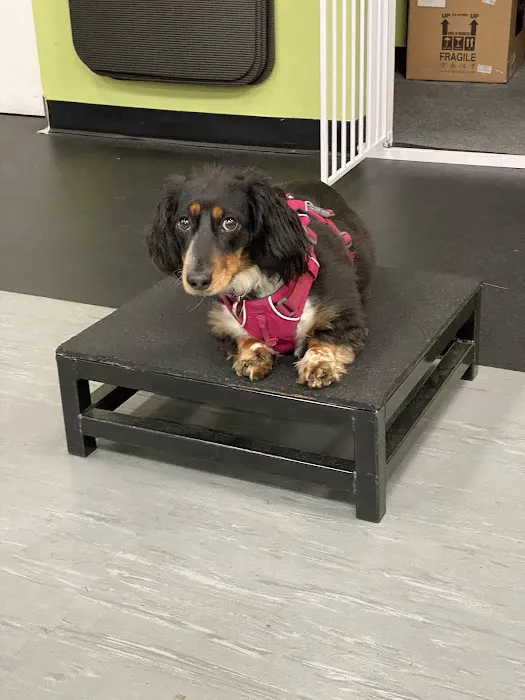 the Bodysmith Fitness Picture 2