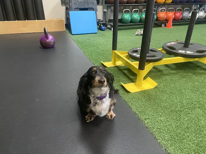 the Bodysmith Fitness Picture 5