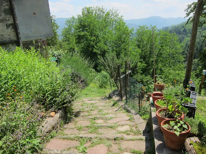 The Yoga Path Picture 1