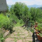 The Yoga Path