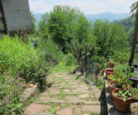 The Yoga Path