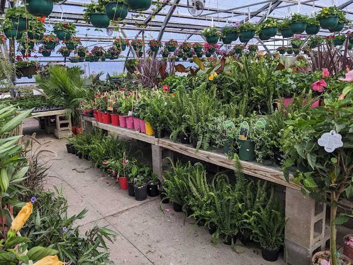 Better Together Campus Gymnasium Picture 9