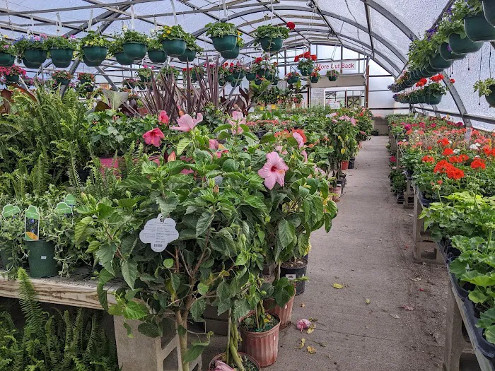 Better Together Campus Gymnasium Picture 10