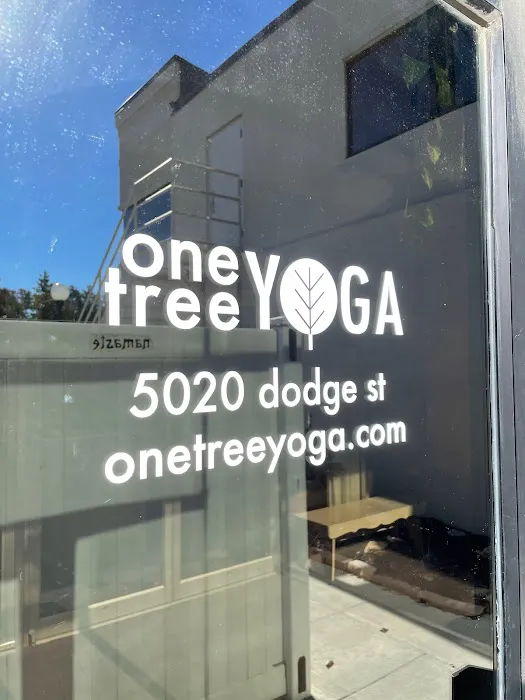 One Tree Yoga - East Studio Picture 1