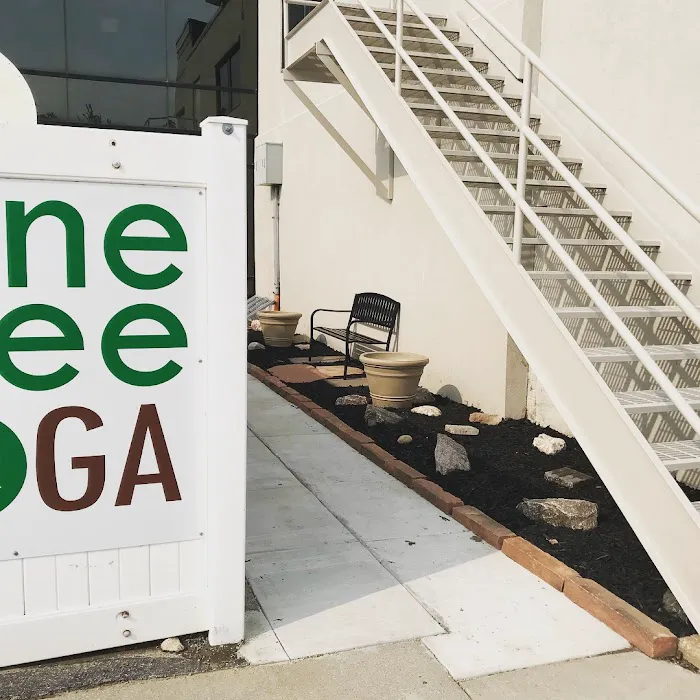 One Tree Yoga - East Studio Picture 2