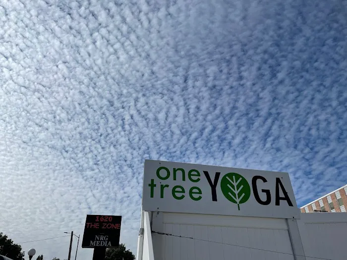 One Tree Yoga - East Studio Picture 6