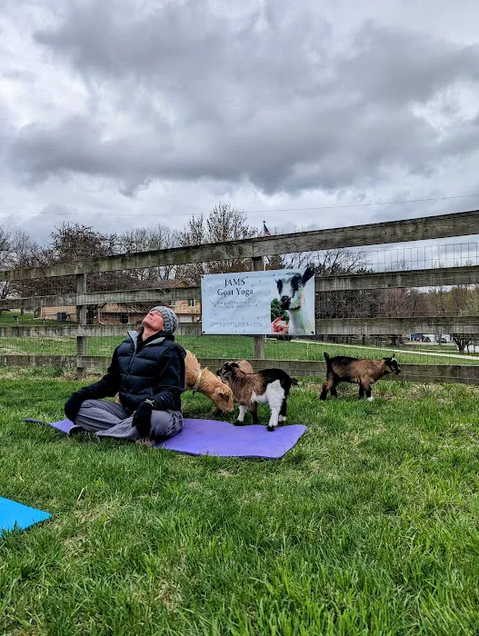 Jams Goat Yoga Picture 7
