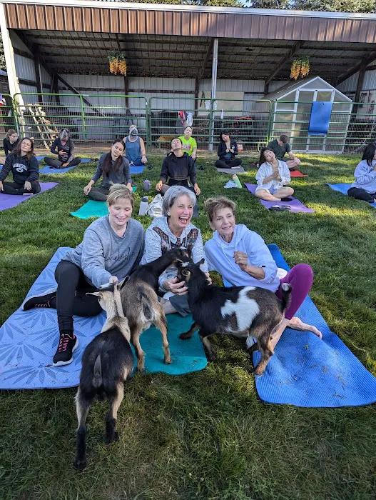 Jams Goat Yoga Picture 3