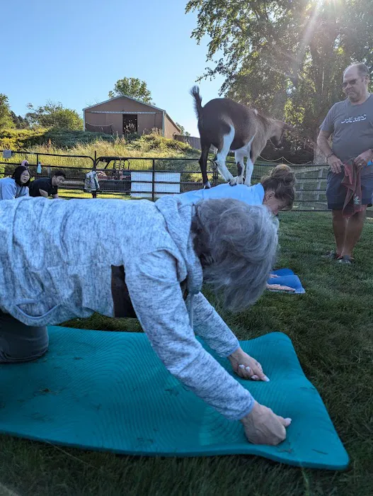 Jams Goat Yoga Picture 4