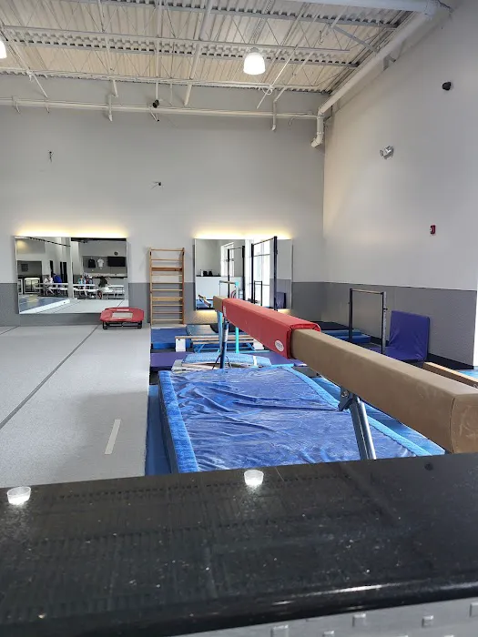 ZnZ Gymnastics Center Picture 4