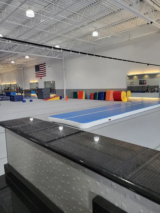 ZnZ Gymnastics Center Picture 2