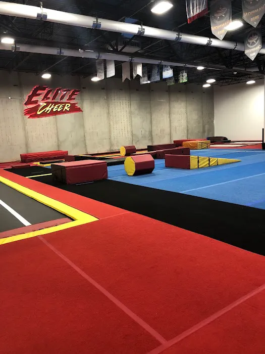 Elite Cheer Picture 3