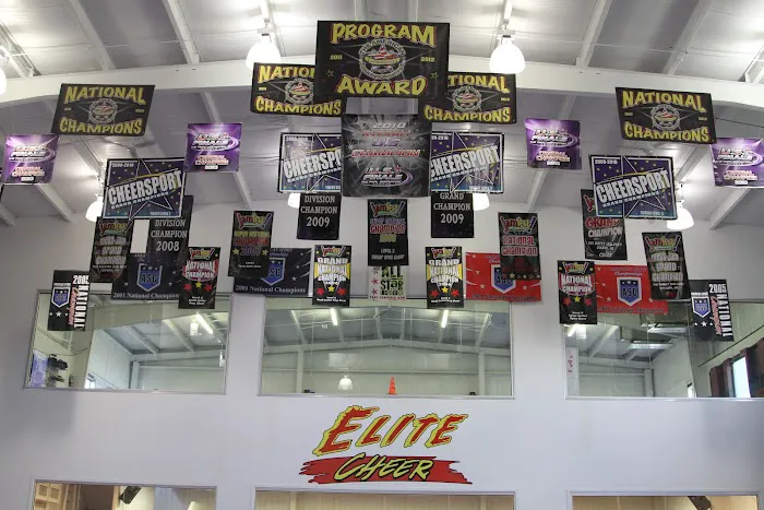 Elite Cheer Picture 4