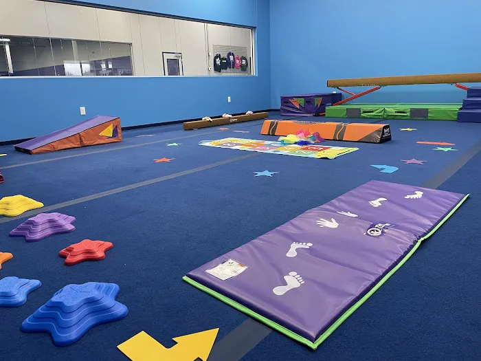 Metro Stars Gymnastics Picture 2