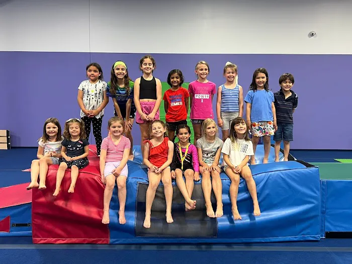 Metro Stars Gymnastics Picture 5