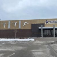 Metro Stars Gymnastics ico