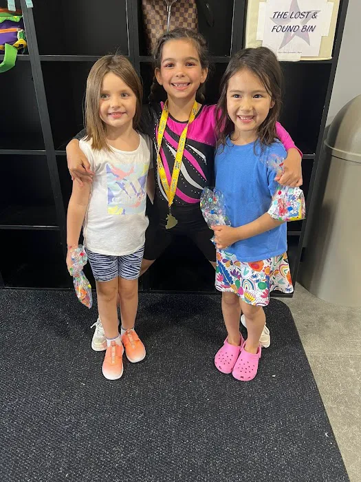 Metro Stars Gymnastics Picture 8