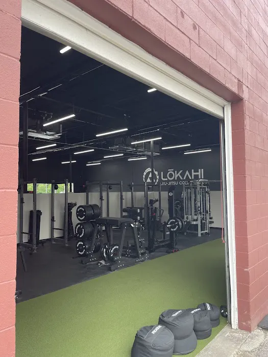 The Lab Training Systems Picture 9