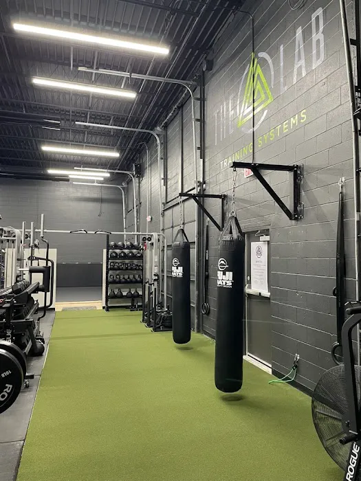 The Lab Training Systems Picture 8