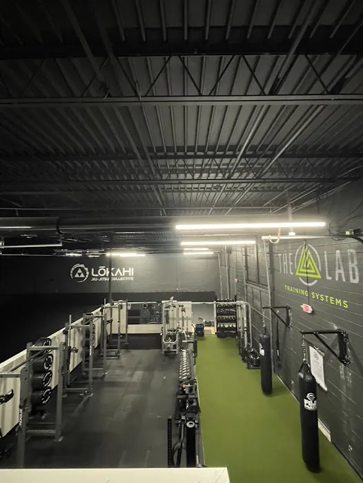 The Lab Training Systems Picture 3