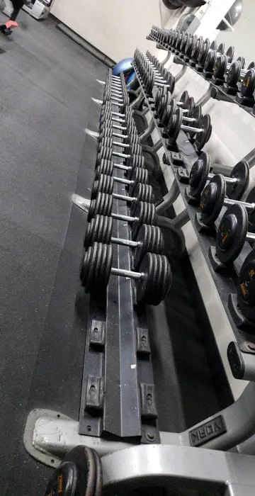 Omaha Barbell Picture 5