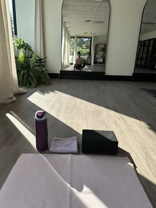 Re-New Movement Picture 1