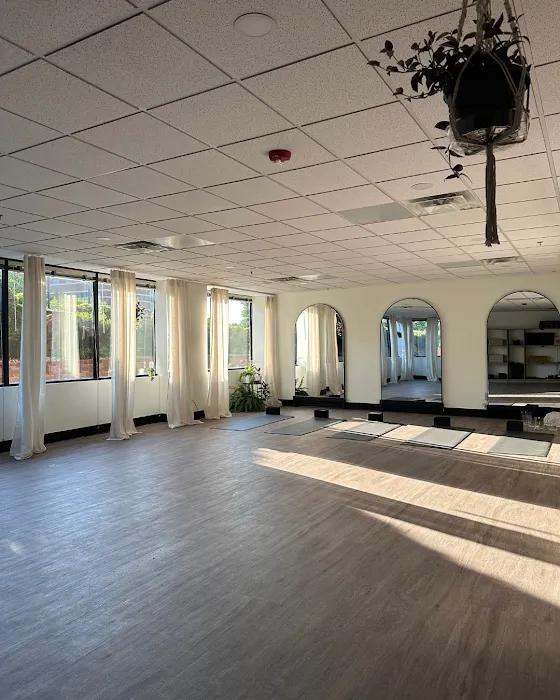 Re-New Movement Picture 2