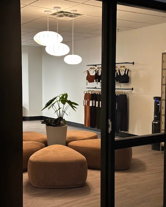 Re-New Movement Picture 8