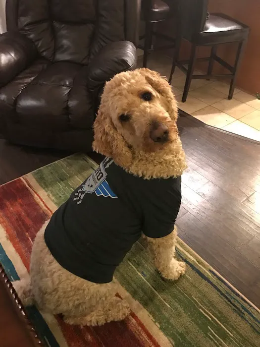 DTO CrossFit Picture 4