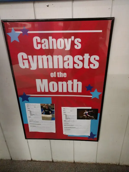 Cahoy's Gymnastic Training Center Picture 4