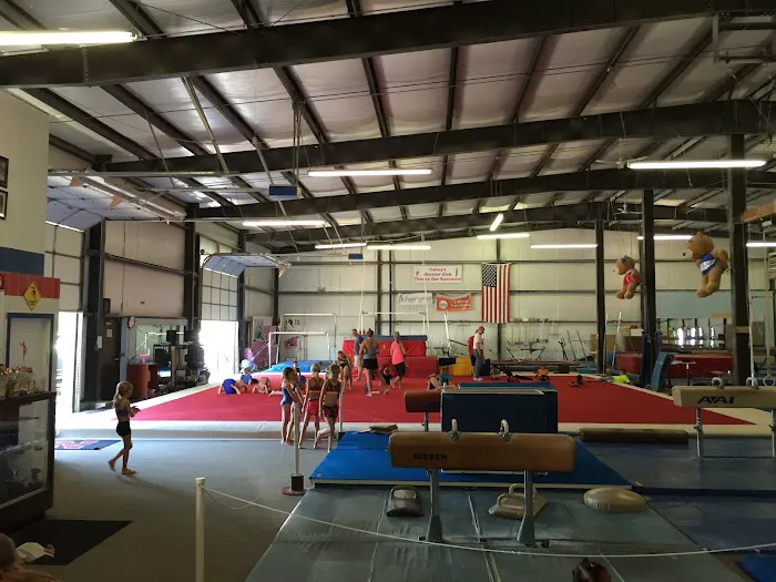 Cahoy's Gymnastic Training Center Picture 1