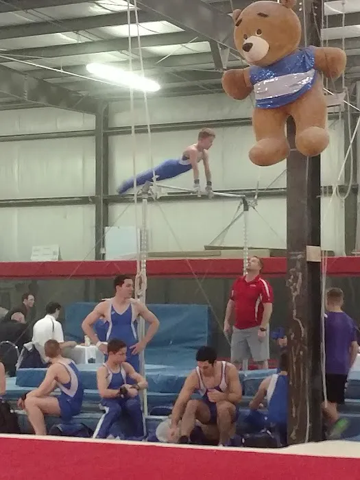 Cahoy's Gymnastic Training Center Picture 6