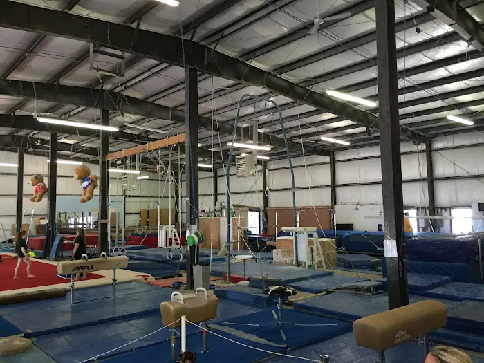 Cahoy's Gymnastic Training Center Picture 10