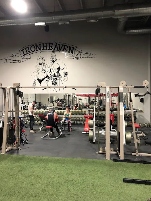 Iron Heaven Gym Chandler Picture 1