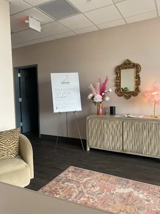 Cat Cow Yoga Studio & Events Picture 7