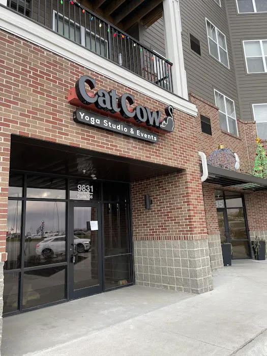 Cat Cow Yoga Studio & Events Picture 4