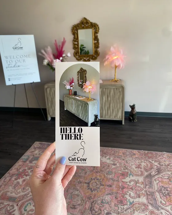 Cat Cow Yoga Studio & Events Picture 10