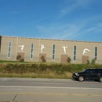 Metro Stars Gymnastics ico