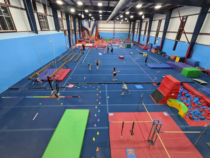 Metro Stars Gymnastics Picture 4