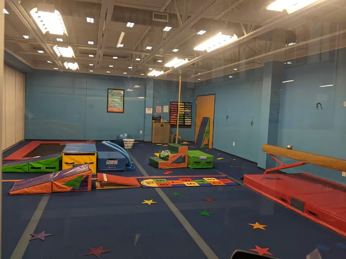 Metro Stars Gymnastics Picture 3