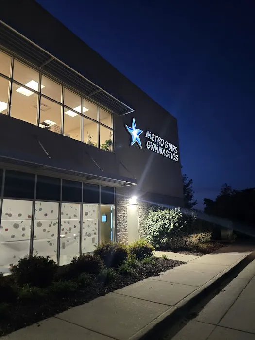 Metro Stars Gymnastics Picture 9