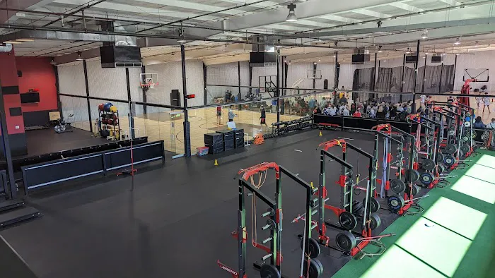 Going Vertical Basketball Academy Picture 4