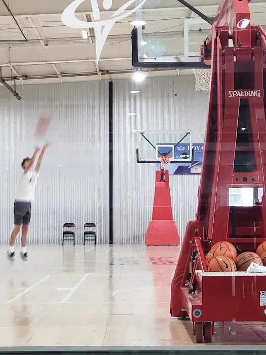 Going Vertical Basketball Academy Picture 6