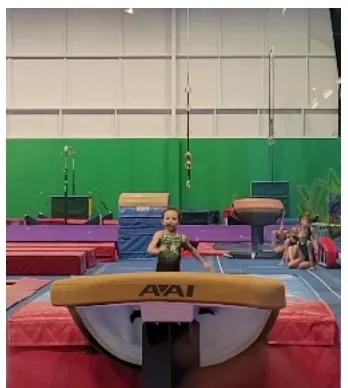 Metro Stars Gymnastics Picture 1