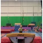 Metro Stars Gymnastics