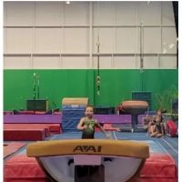 Metro Stars Gymnastics ico