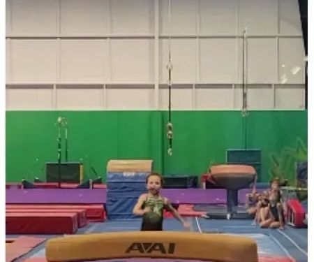 Metro Stars Gymnastics