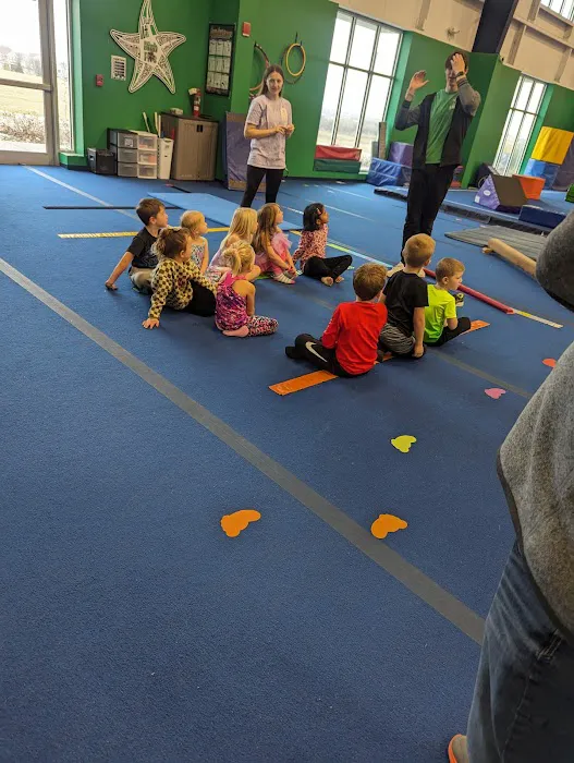 Metro Stars Gymnastics Picture 9