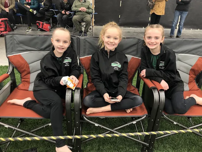 Metro Stars Gymnastics Picture 2